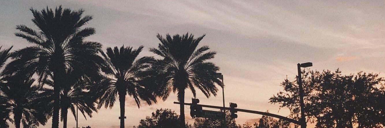 princbx's profile banner image