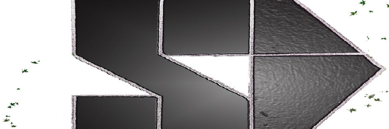 Sp3shialOption's profile banner image