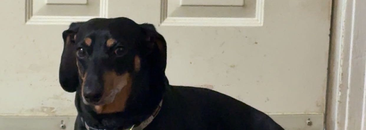 jackjohnston22's profile banner image