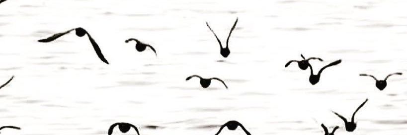 sha_Asiri's profile banner image