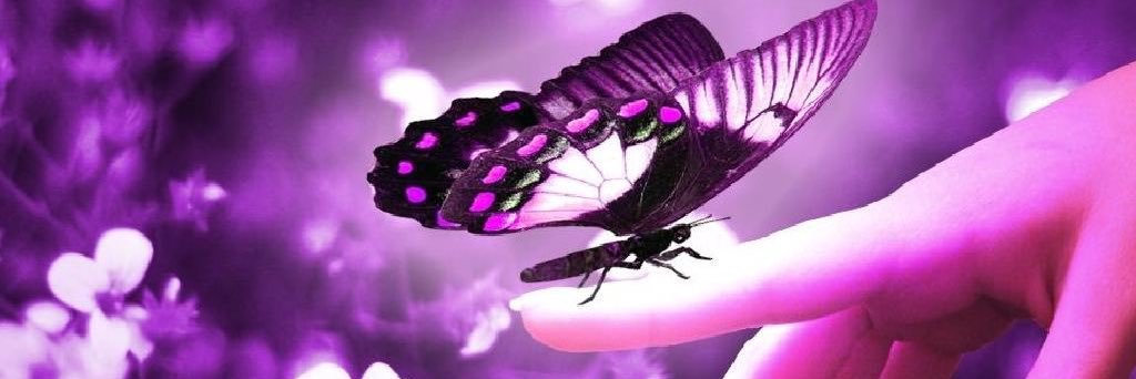 lunnaflo's profile banner image