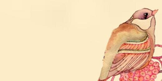 anascotuzzi's profile banner image