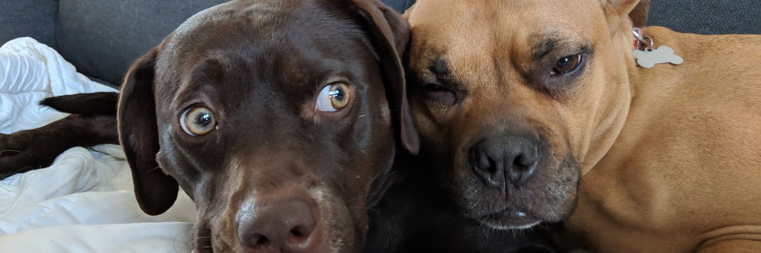 chelsbstring's profile banner image