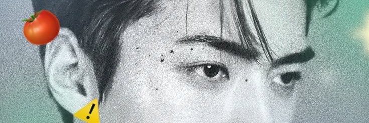 •₊˚ howdyimc ;｡+ﾟ* banner