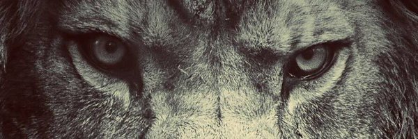 QuentynLamar Profile Banner