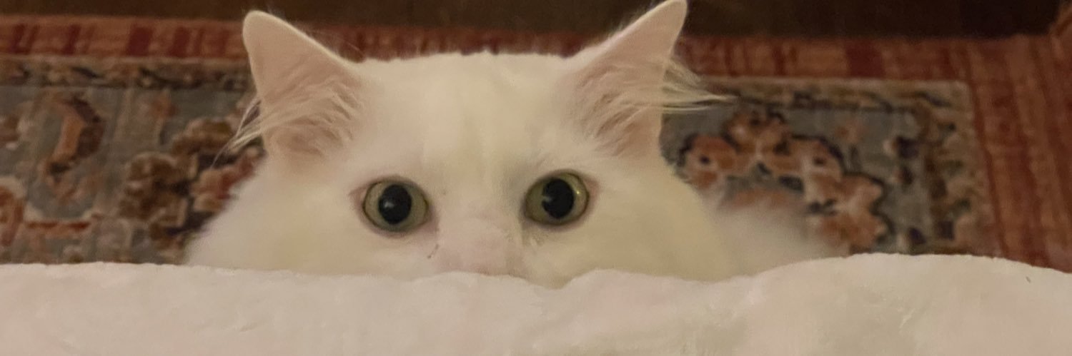 kbryanttt's profile banner image