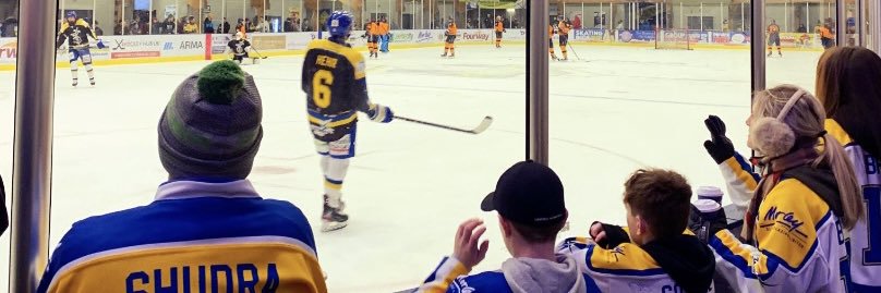 Stacey Mcintyre banner