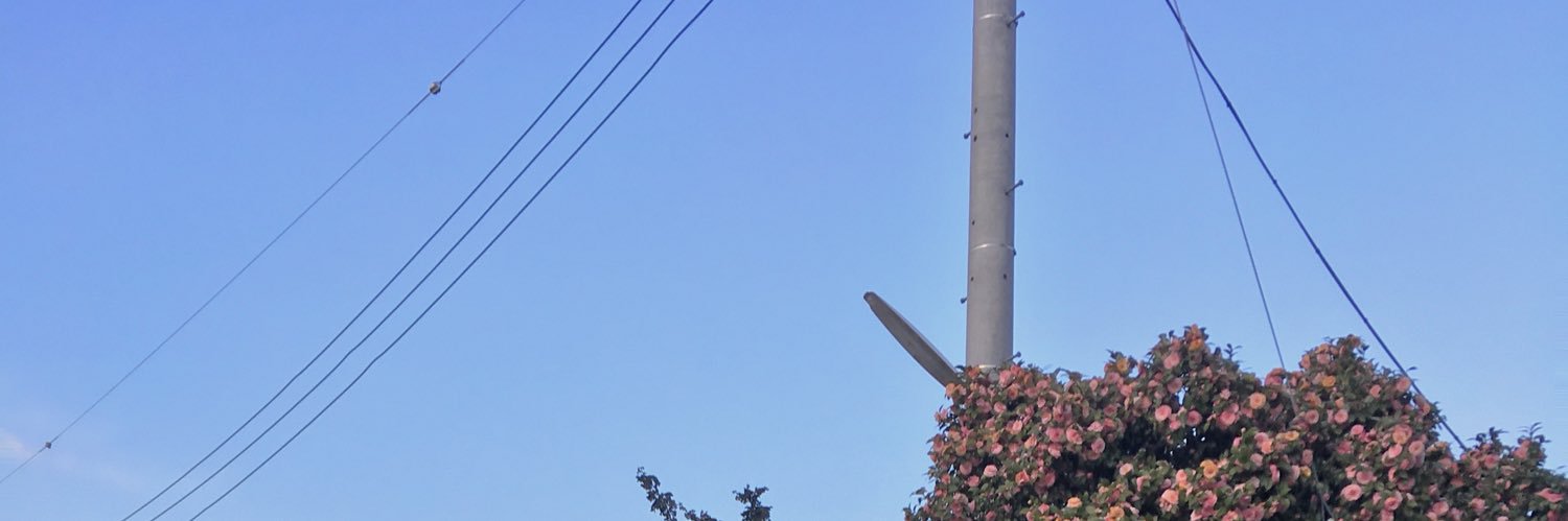 doonatsuhool's profile banner image