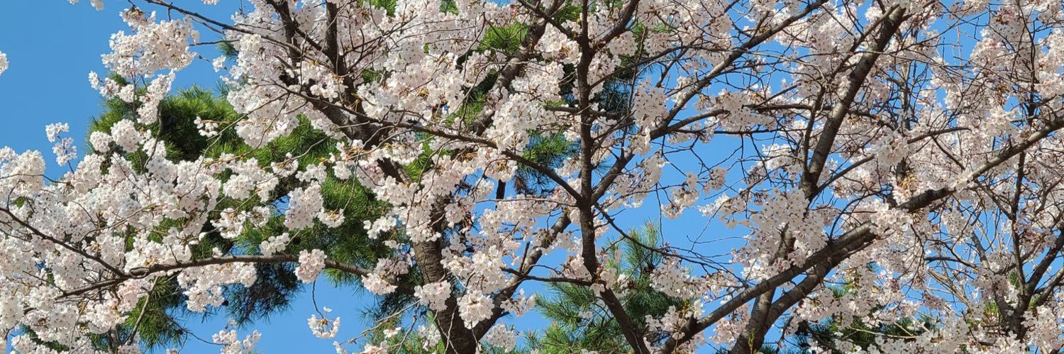 _Simmiii_'s profile banner image