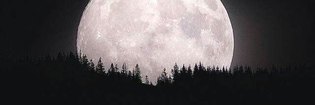 Real_Ayn's profile banner image