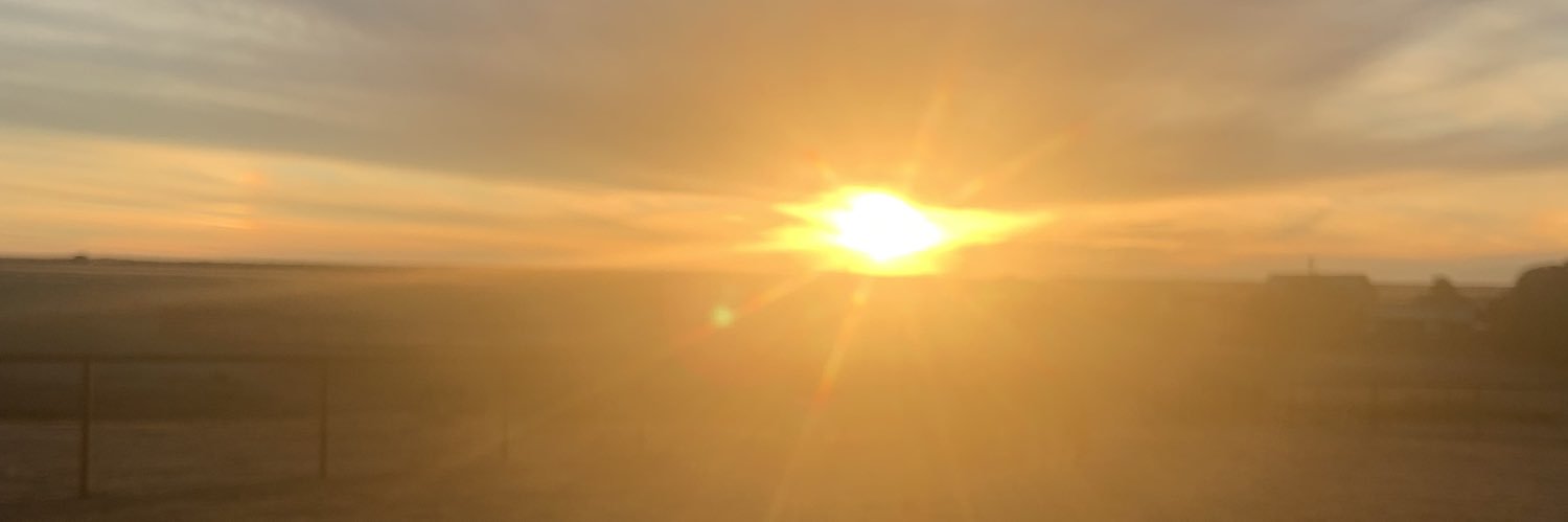 tgallivan's profile banner image