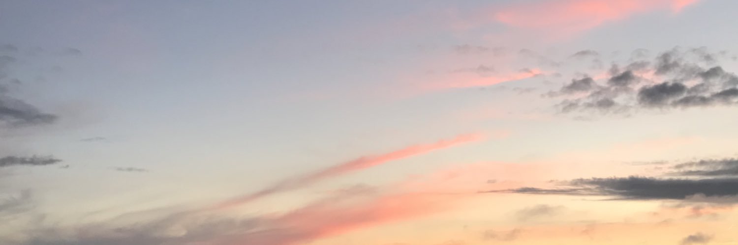 CharlottMoerman's profile banner image