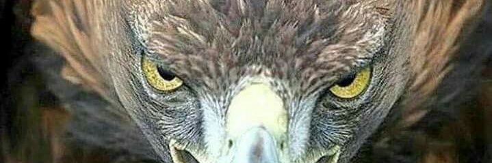 Ardagk34's profile banner image