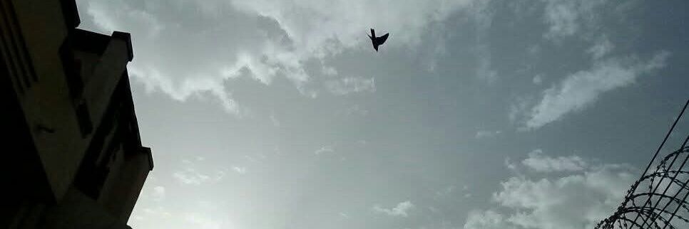 مقداد🇸🇩 banner