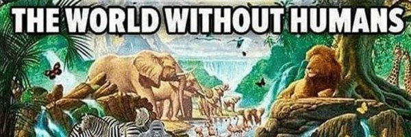 VeganMemesInt Profile Banner