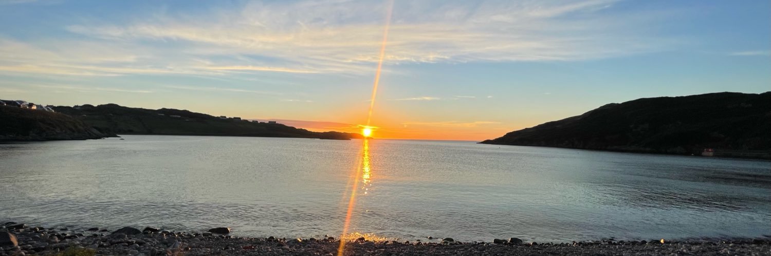 Stephen Lowis banner