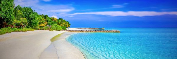 A1290367 Profile Banner