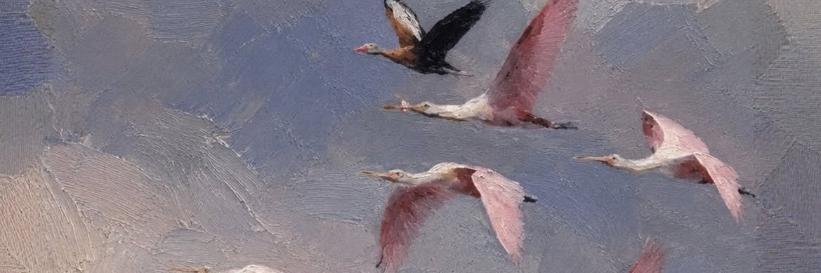 wondervethk's profile banner image