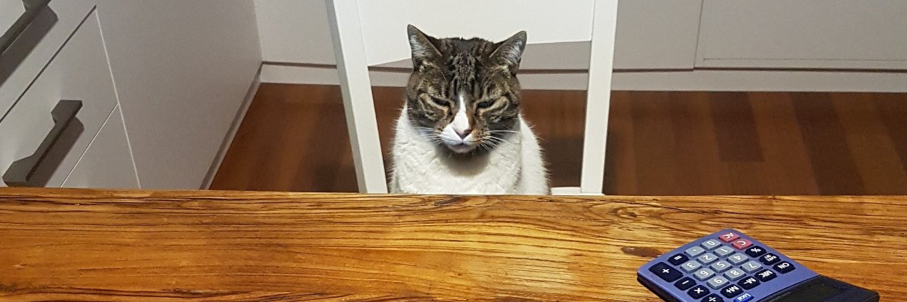 Livingstone the Cat Trader banner