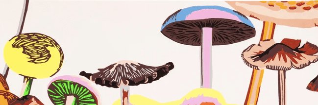 PacoPabloPedro's profile banner image