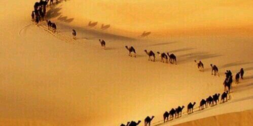 aalayesh35's profile banner image