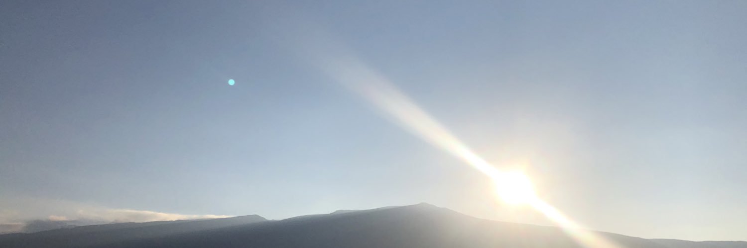 gatto banner