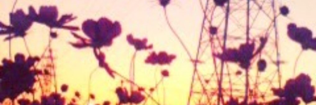 mintoek1's profile banner image
