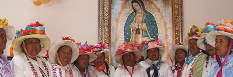 MatildeLatorre's profile banner image