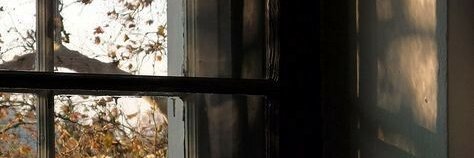 irrefutably's profile banner image