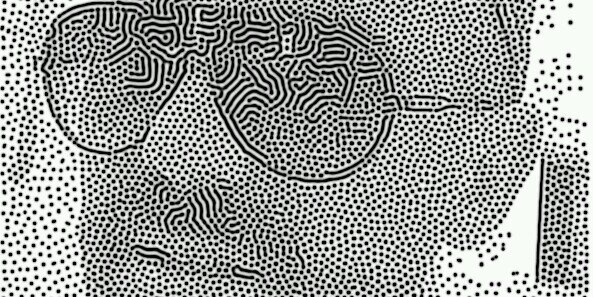 diegomonllau's profile banner image