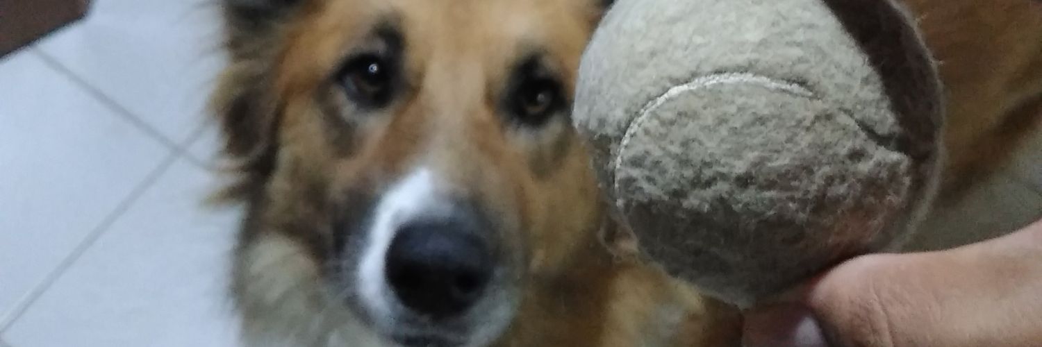 uriruedaa's profile banner image