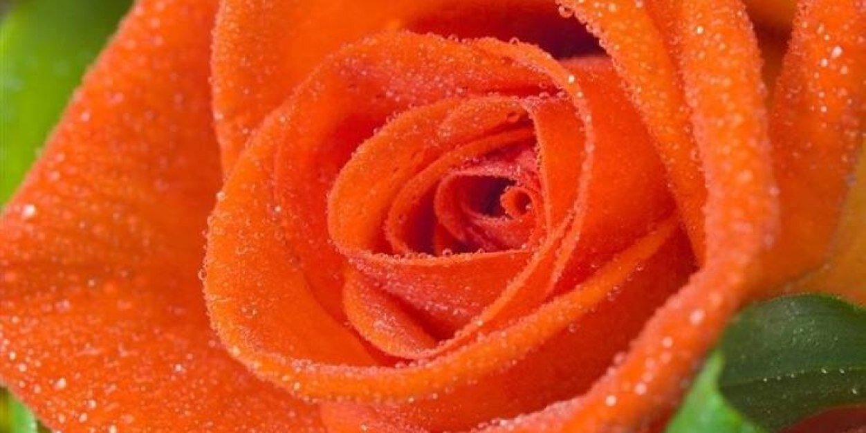 dasah27's profile banner image