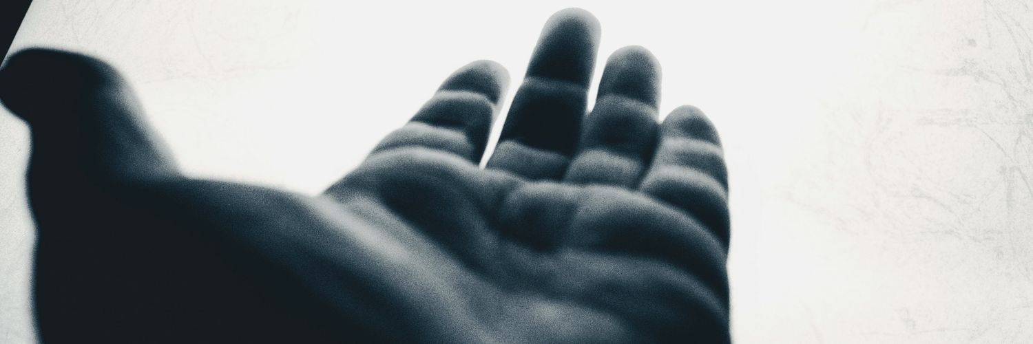 Demipatrix's profile banner image