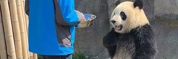 CHYM39 Profile Banner