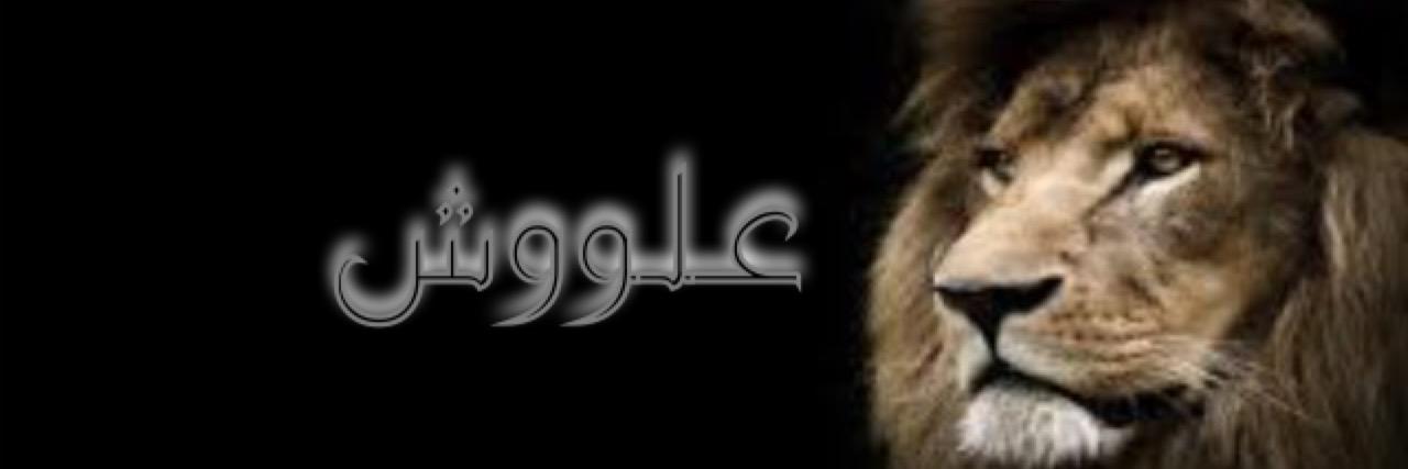 el3elsh's profile banner image