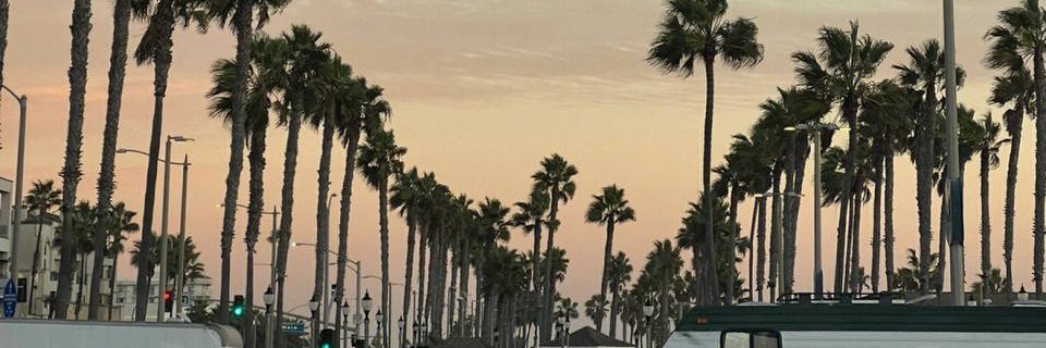 apple93377517's profile banner image