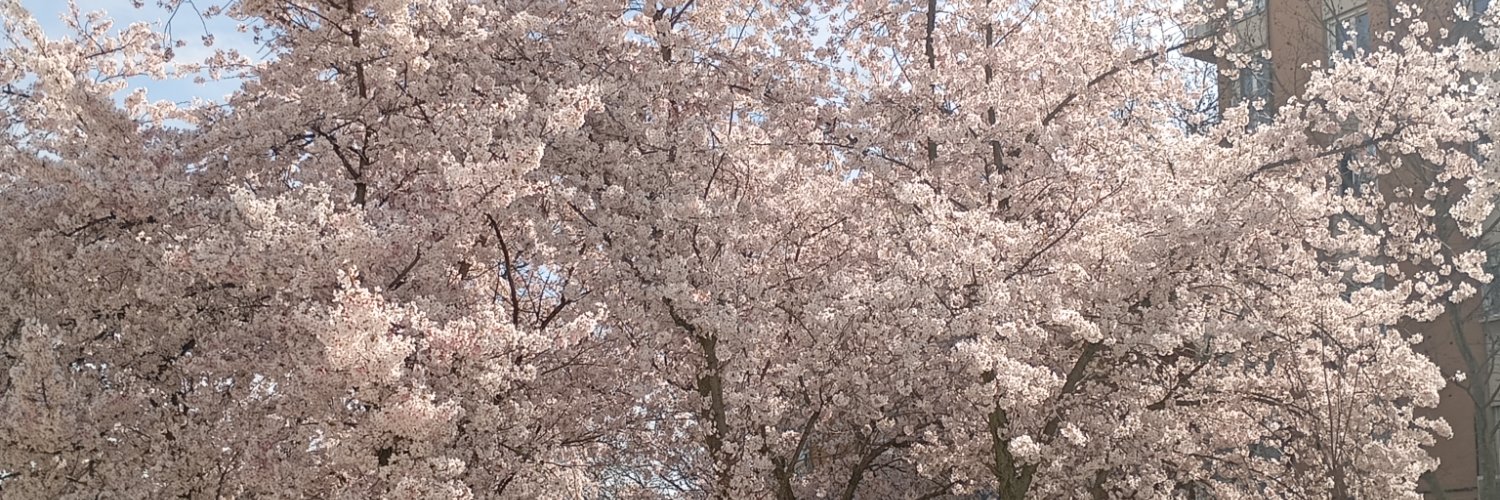__nmg__'s profile banner image