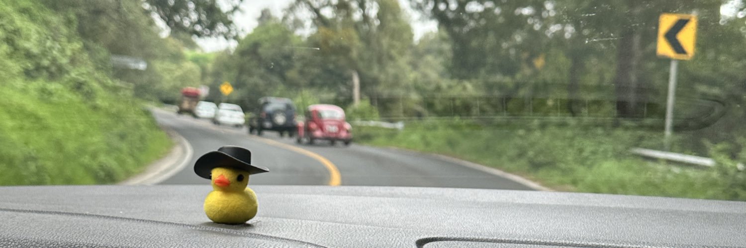 Arydelapaz's profile banner image