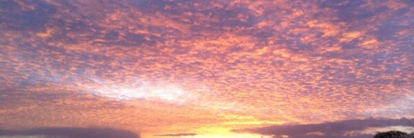 Claireeb103 Profile Banner