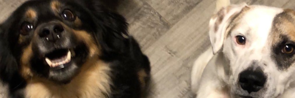 butchie6's profile banner image