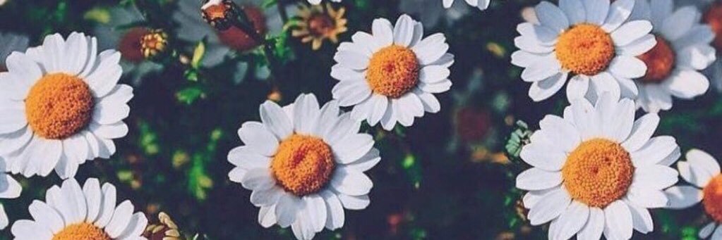_minyeeq's profile banner image