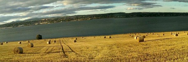 AsimShrz Profile Banner