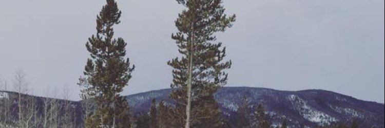 KaciPower's profile banner image