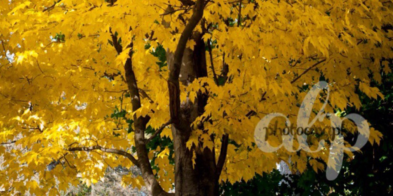 porter_aubri's profile banner image
