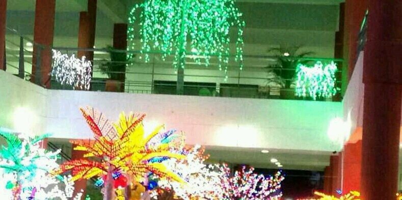vivenavidad's profile banner image