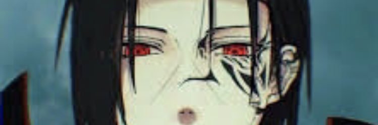 LucchiniCameron's profile banner image