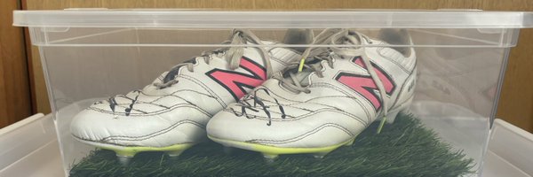 sa_ri810 Profile Banner