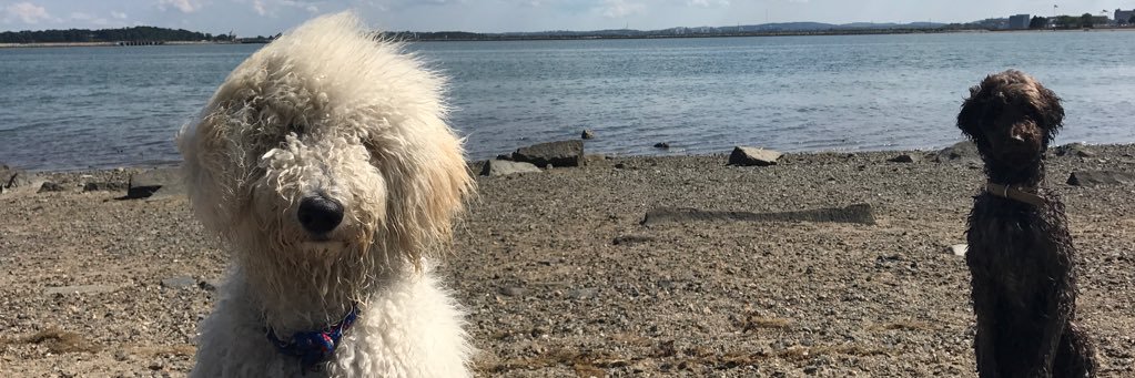 L_Madd's profile banner image