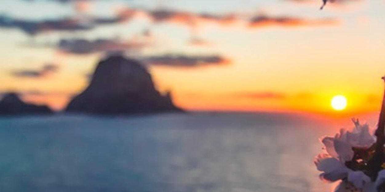 MonicaSala's profile banner image