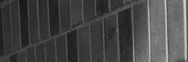 MJ. banner